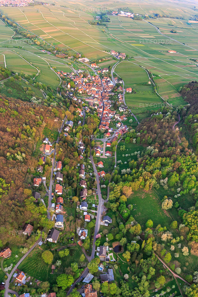 Luftbild: Trifelsstraße und Slevogtstraße von Westen in Leinsweiler im Bundesland Rheinland-Pfalz in Deutschland. Foto: IMG_106859.jpg vom 21.04.2018 durch Werner Riehm/FLY-FOTO.de