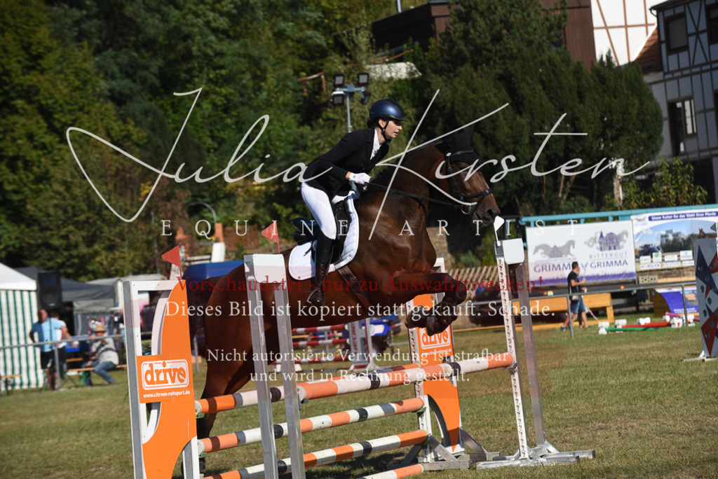 DSC_5403 | Pferde- und Turnierfotografie in Westsachsen. Pferdeportraits, Auftragszeichnungen und intuitive Kunst.