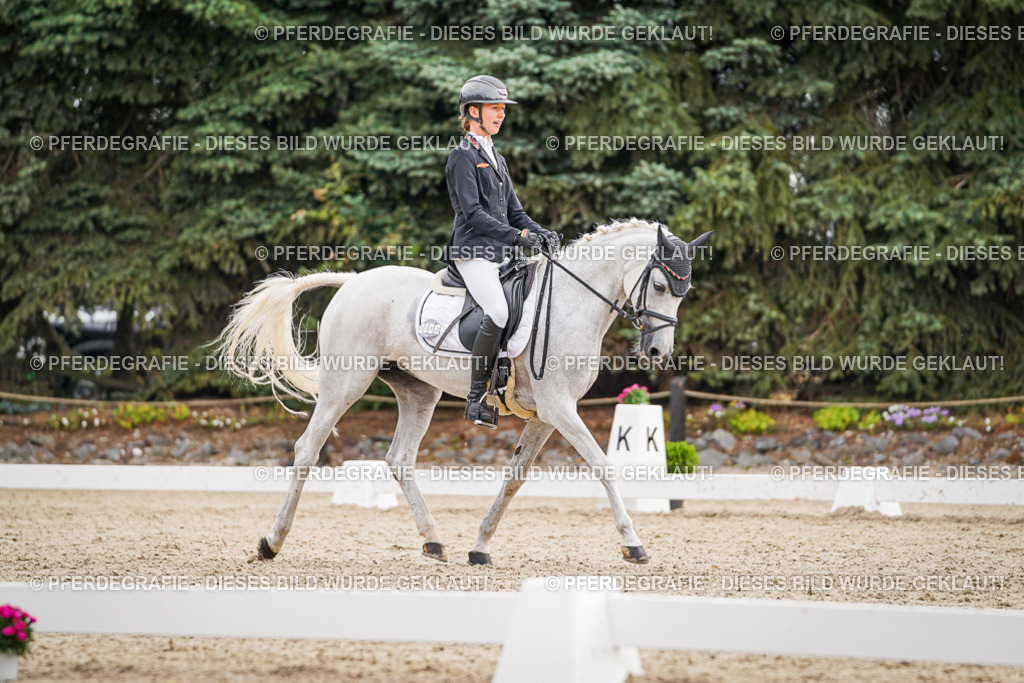 DSC02164 | Pferdegrafie