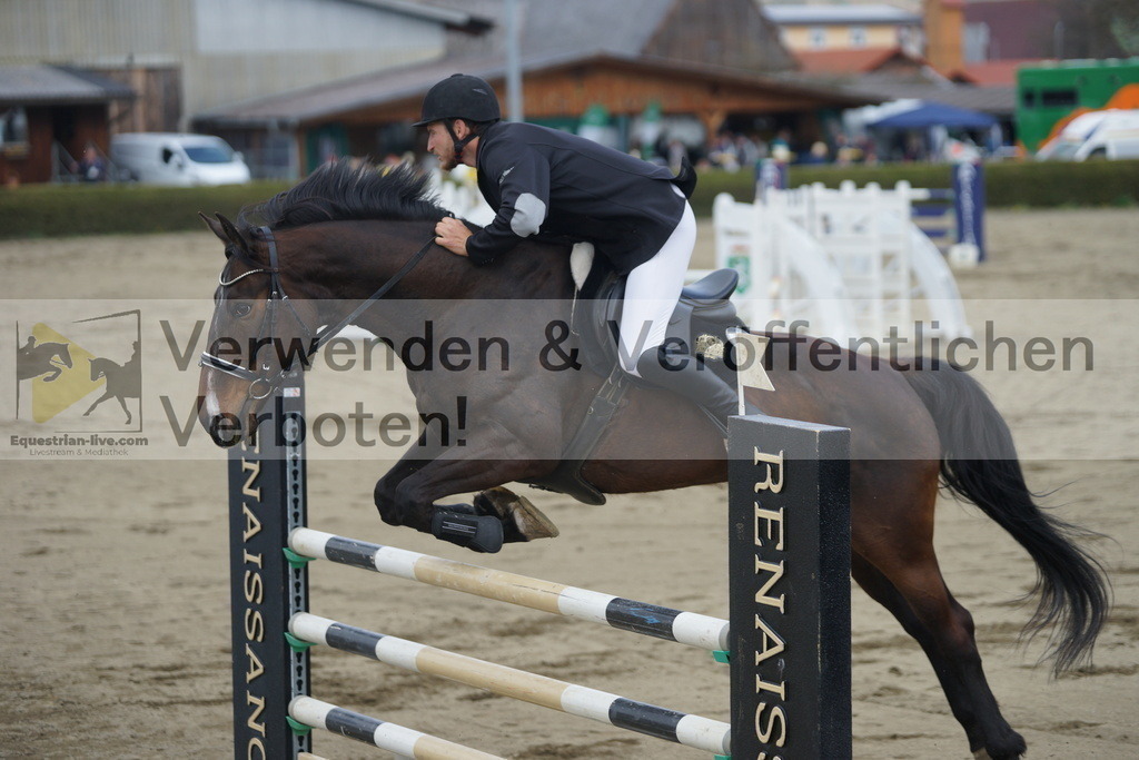 DSC01490 | equestrian-live-com