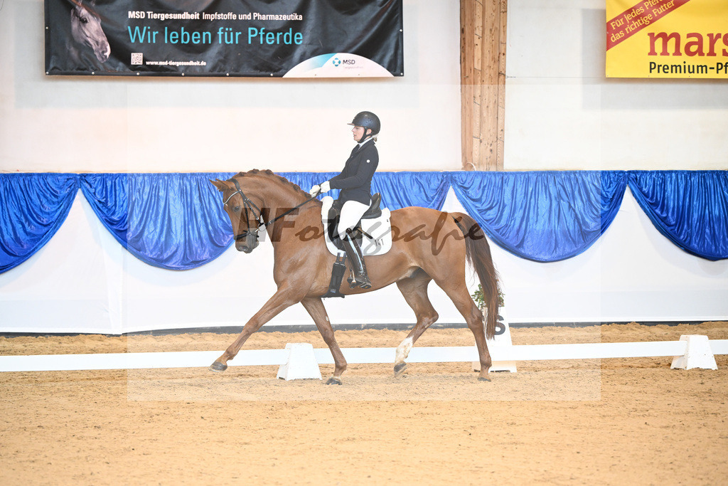 Kat-Nr. 141 Valentino_Hauptmann_14240605 | hf-fotografie - Realisiert mit Pictrs.com