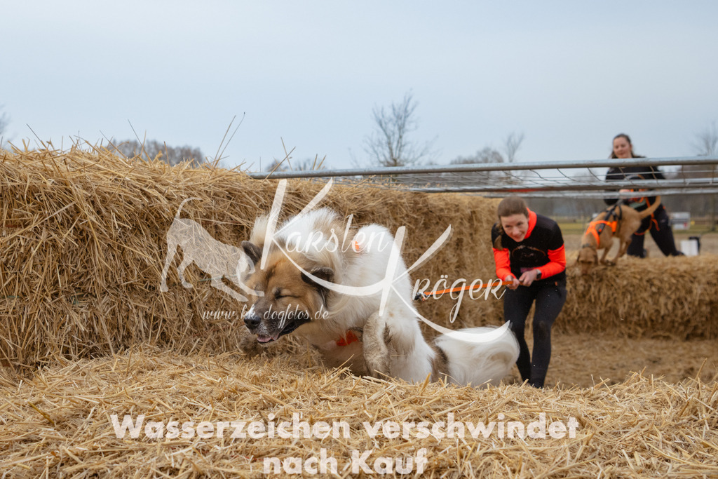 0821_ZZ92560 | kk-dogfotos