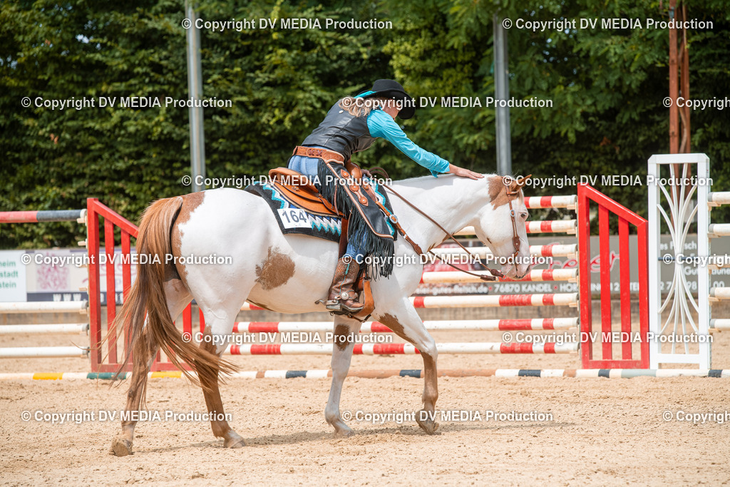 EWP_6232 | dv-media-shop - Realisiert mit Pictrs.com