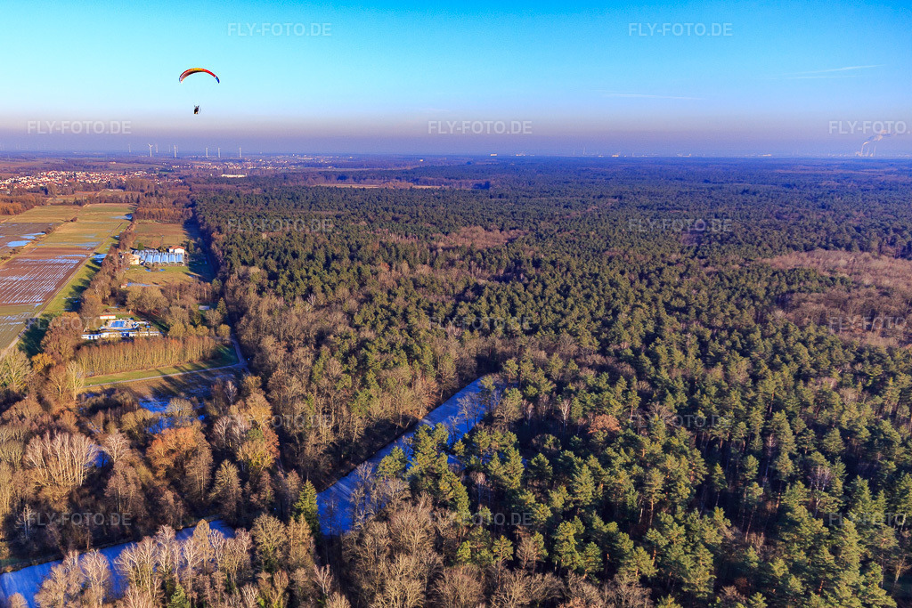 Luftbild: Gefrorene Fischweiher am Bienwaldrand in Steinfeld im Bundesland Rheinland-Pfalz in Deutschland. Foto: IMG_145279.jpg vom 14.01.2025 durch Werner Riehm/FLY-FOTO.de