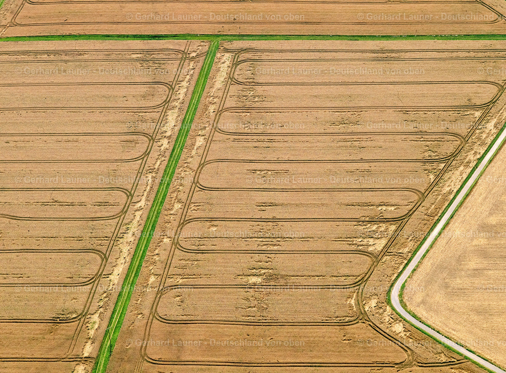 9300396 | Feld-und Baumstrukturen bei Münstermaifeld