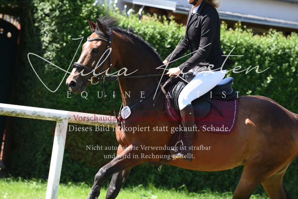 DSC_9540 | Pferde- und Turnierfotografie in Westsachsen. Pferdeportraits, Auftragszeichnungen und intuitive Kunst.