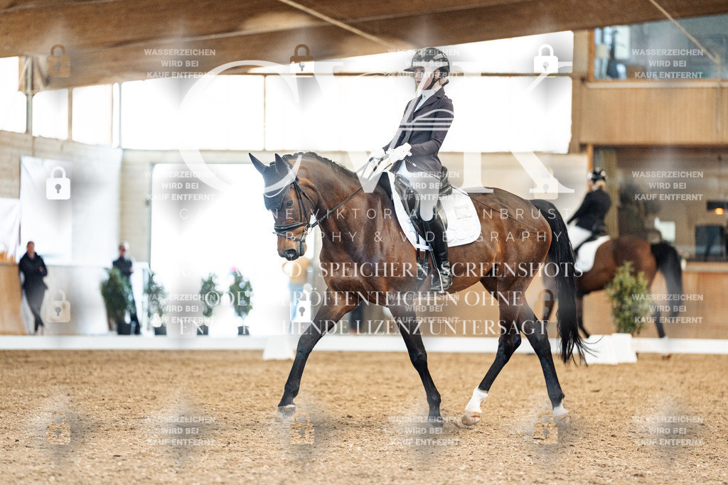 CK909300 | Turnierfotografie Pferdefotografie Trier Rheinland-Pfalz Pferdesport Reitsport Tierfotografie Sportfotografie Pferdevideo Pferdevideografie Equestrianvideography equestrianphotography  - Realisiert mit Pictrs.com