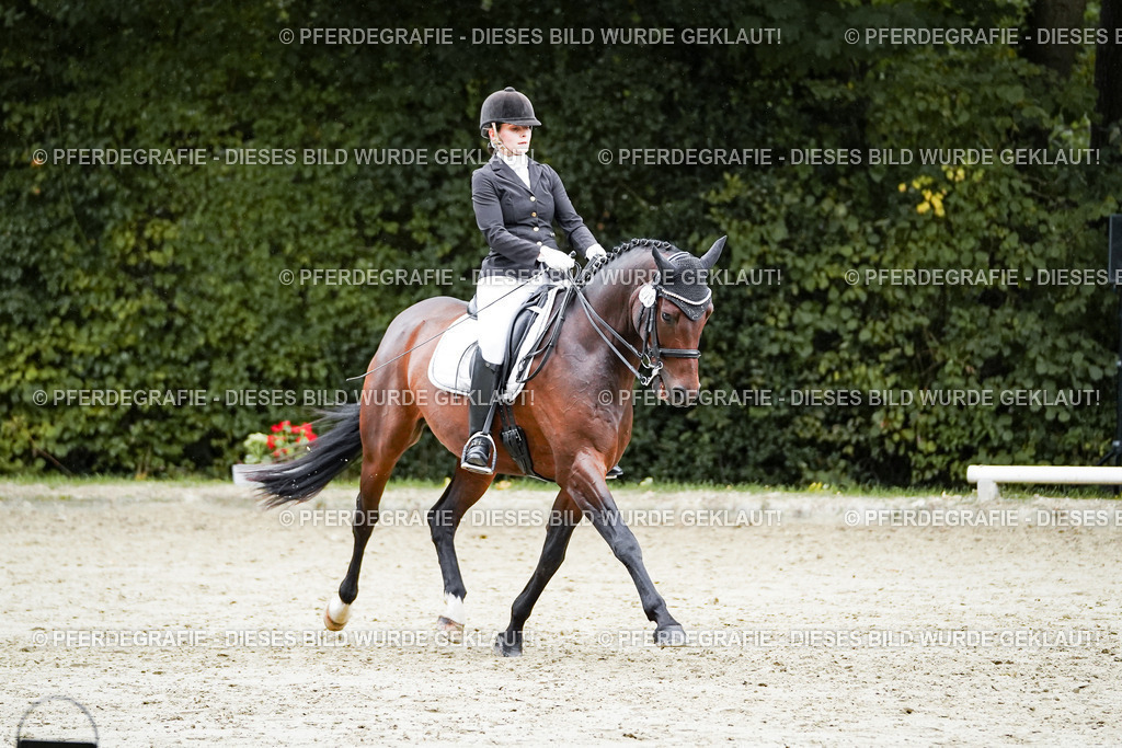 DSC00545 | Pferdegrafie