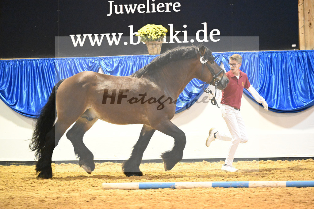 Kat-Nr. 41 Heidjer II_Kaufmann_53221241 | hf-fotografie - Realizzato con Pictrs.com
