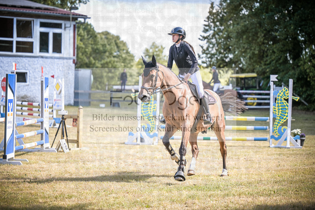 DOS_0973 | Entdecke hochwertige Reitturnierfotos von Foto Oger. Professionell, emotional und authentisch – jetzt Lieblingsmomente im Shop bestellen.Deutschlandweite Turnierfotografie. - Realisiert mit Pictrs.com