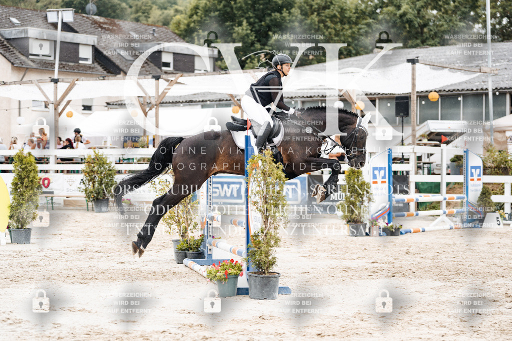 CK908649 | Turnierfotografie Pferdefotografie Trier Rheinland-Pfalz Pferdesport Reitsport Tierfotografie Sportfotografie Pferdevideo Pferdevideografie Equestrianvideography equestrianphotography  - Realisiert mit Pictrs.com