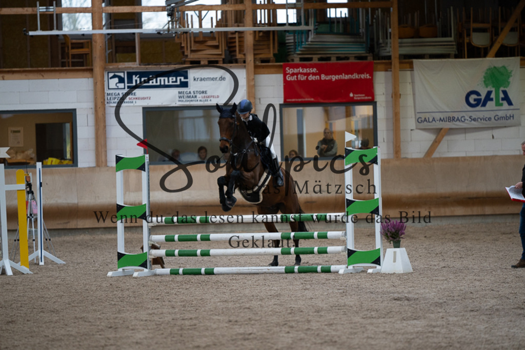 A7V03073 | Pferdefotograf