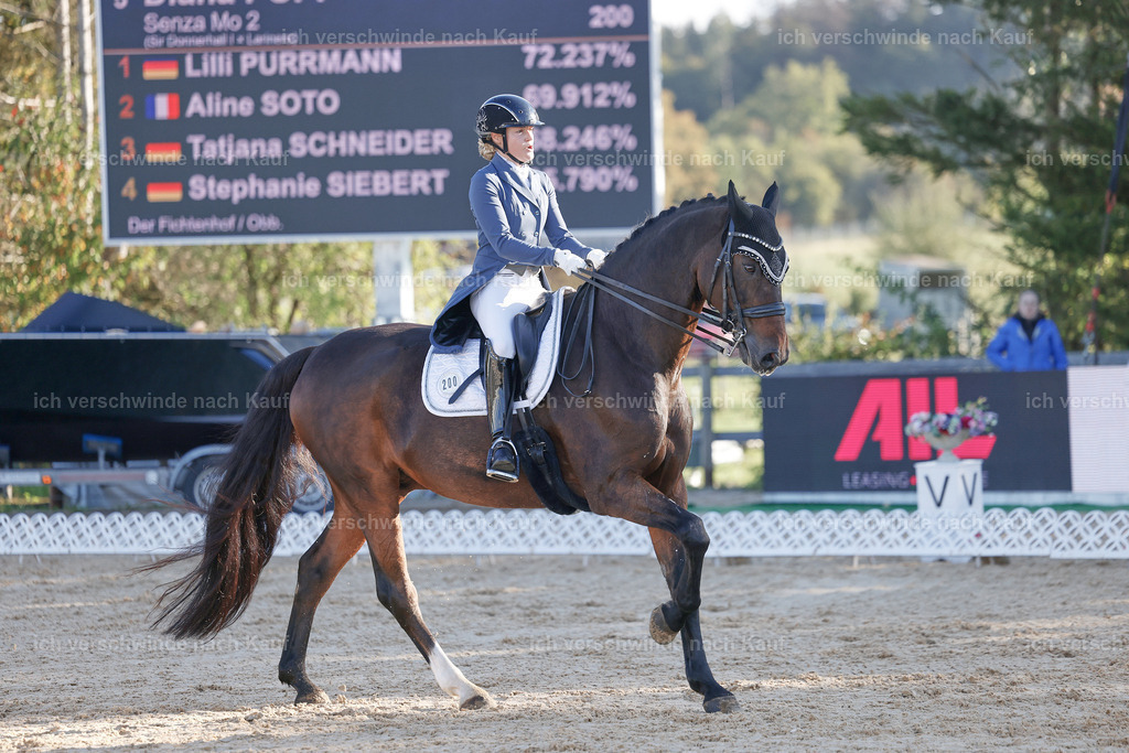 09_1-200-DRESSUR  S_  -StoibPH-5521 | working equitationturnier fotograf videograf stoibphotography marixx film working equitation deutschland reitsport turnierfotografie eventfotografie equestrian events