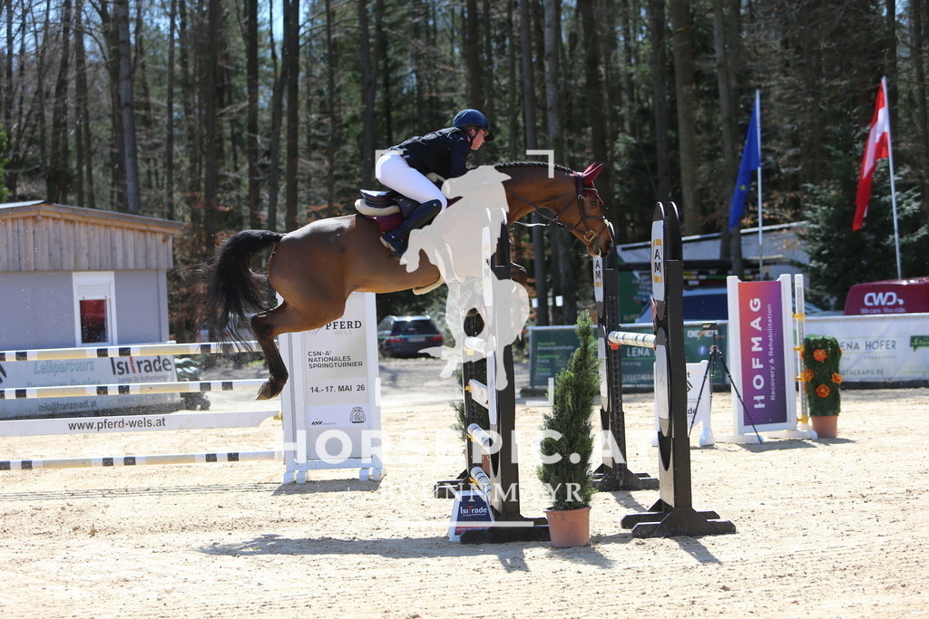 DL2Q5375 | Willkommen bei Brunnmayr - Design & Fotografie – Ihrem Spezialisten für Reitturniere und Pferdeveranstaltungen in Oberösterreich, Salzburg und Bayern! Seit über 17 Jahren sind wir leidenschaftlich dabei.