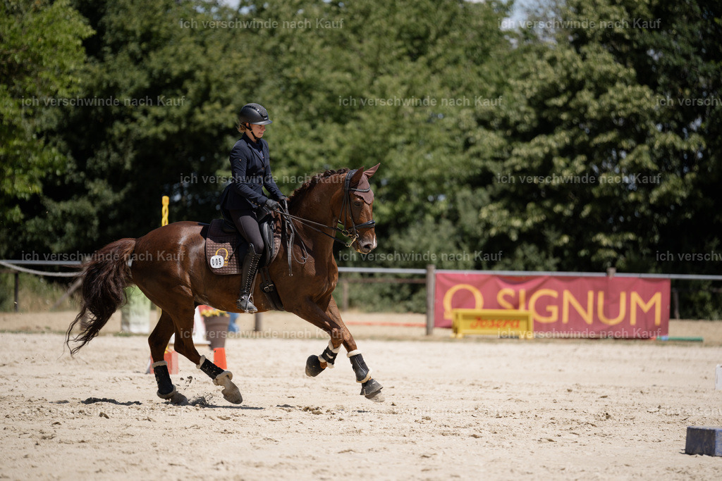 WM_SP_5_Stoibphotography_SO19112 | working equitationturnier fotograf videograf stoibphotography marixx film working equitation deutschland reitsport turnierfotografie eventfotografie equestrian events