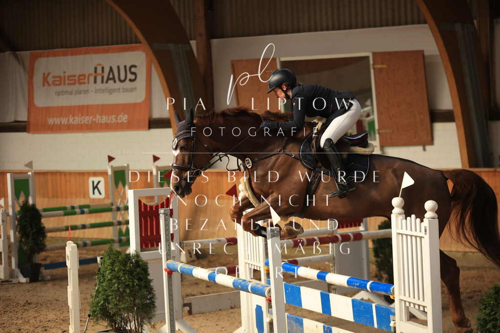 IMGT0362 | pl-fotografie