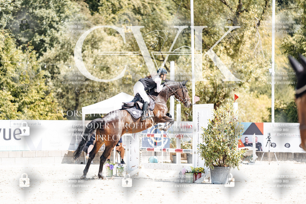 CK900422 | Turnierfotografie Pferdefotografie Trier Rheinland-Pfalz Pferdesport Reitsport Tierfotografie Sportfotografie Pferdevideo Pferdevideografie Equestrianvideography equestrianphotography  - Realisiert mit Pictrs.com