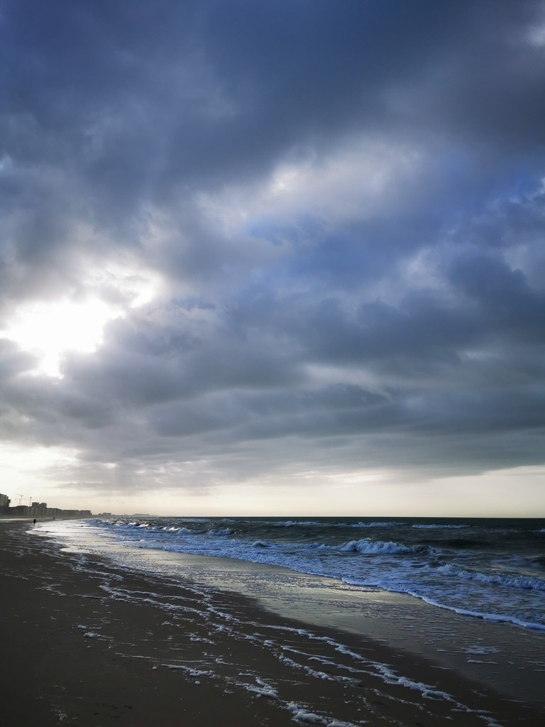 IMG_20240219_160310 | Pandiboo - Realisiert mit Pictrs.com