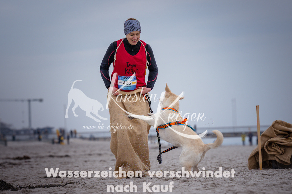 1208_ZZ92123 | kk-dogfotos