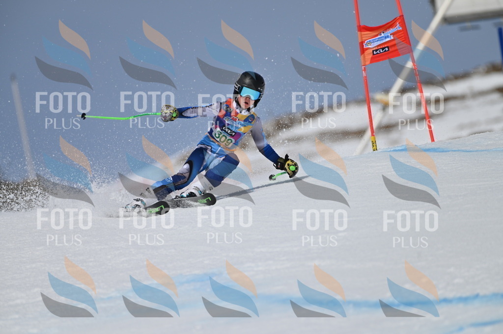 BGV_6117 | holidayphoto