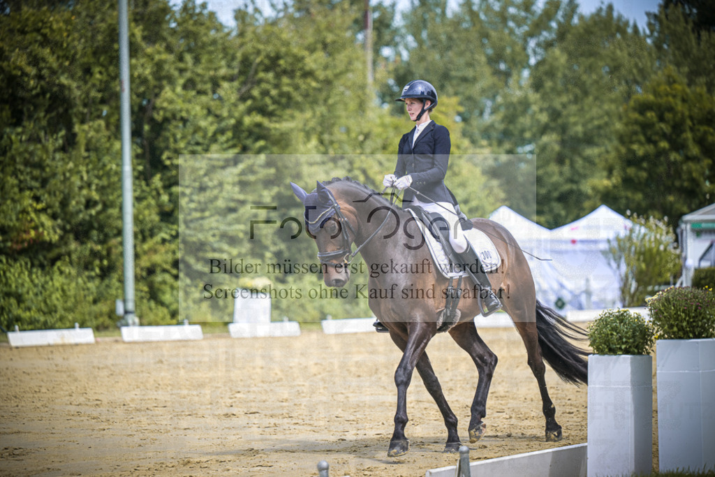 DOS_3109 | Entdecke hochwertige Reitturnierfotos von Foto Oger. Professionell, emotional und authentisch – jetzt Lieblingsmomente im Shop bestellen.Deutschlandweite Turnierfotografie. - Realisiert mit Pictrs.com