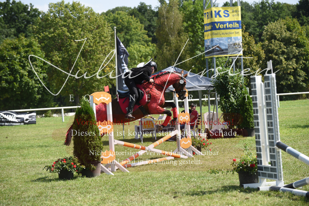 DSC_0196 | Pferde- und Turnierfotografie in Westsachsen. Pferdeportraits, Auftragszeichnungen und intuitive Kunst.