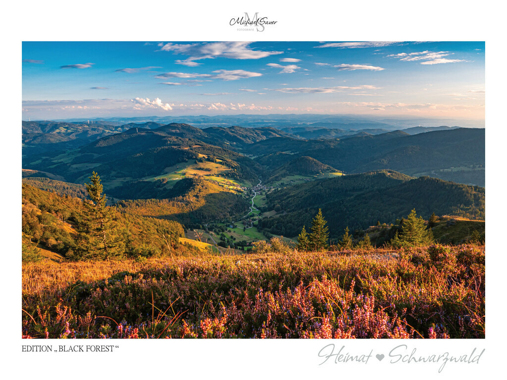 Edition "BLACK FOREST" | Motiv: Blick vom Belchengipfel, Südschwarzwald. Die beliebtesten Fotografien aus dem Schwarzwald als signierte Sonderedition. Eine exklusive Wanddekoration für alle Liebhaber von traumhaften Schwarzwaldlandschaften. Hochwertige Wandbilder in brillanter Druckqualität auf Acrylglas, Alu-Dibond und Leinwand für Ihr Zuhause – inklusive rückseitige Aufhängung.
 - Realisiert mit Pictrs.com