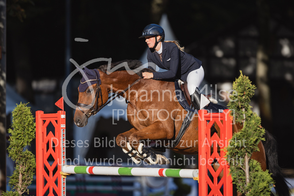 230908_OWLCh_AmateurM-205 | Deine schönsten Turniermomente als professionelle Fotos! Entdecke hochwertige Pferdesport-Fotografie im Online-Shop. Jetzt Fotos finden & bestellen!