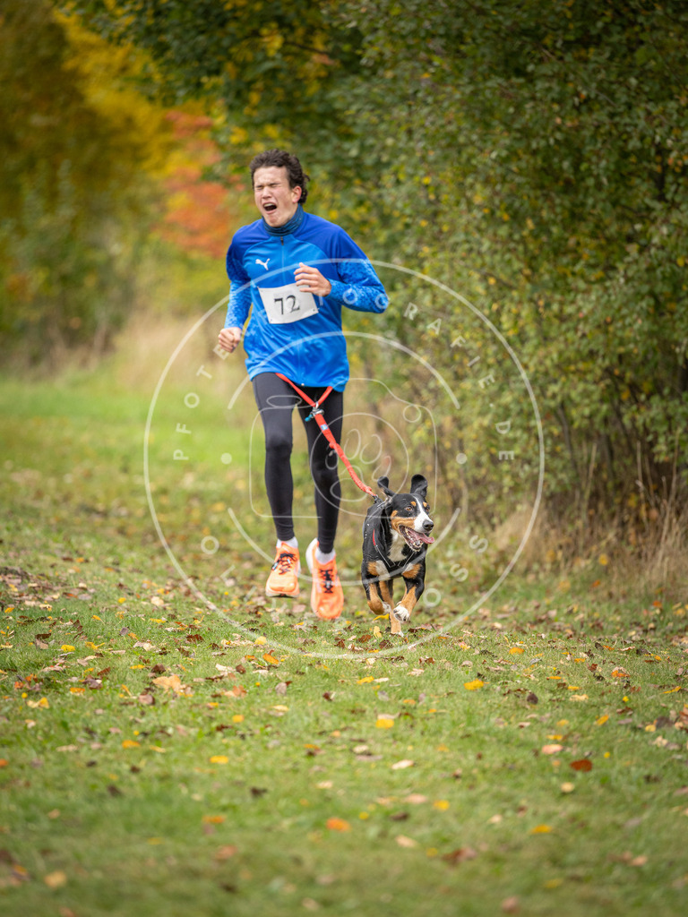 Pfotenfotografie_DV3A2819 | Hundefotografie, Tierfotograf, Pfotenfotografie, Fotoshooting Hund, Hunde Portrait, Hundesport, Hundeportraits, Heideshooting, Hunde, Sportfotograf, Hundefotograf, Turnierhundsport, THS,  - Realisiert mit Pictrs.com