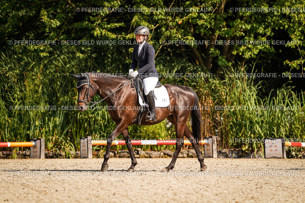 DSC00484 | Pferdegrafie