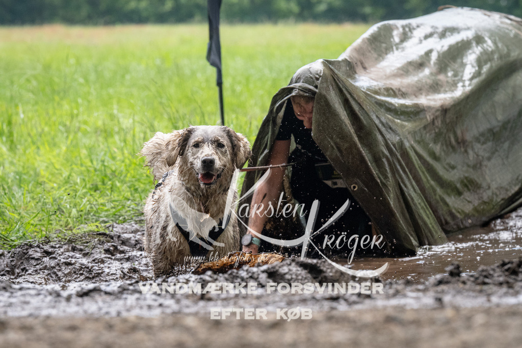 1115_ZZ92114 | kk-dogfotos