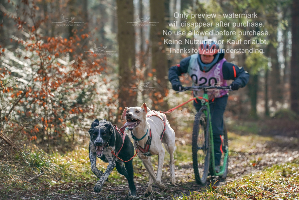 So_Scooter_2-34 | stephaniefillaphotographie - Realisiert mit Pictrs.com