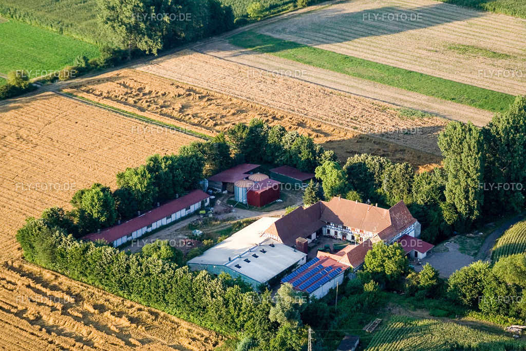 am Erlenbach, Leistenmühle | Luftbild: am Erlenbach, Leistenmühle in Kandel im Bundesland Rheinland-Pfalz in Deutschland. Foto: IMG_11802.jpg vom 25.07.2008 durch Werner Riehm/FLY-FOTO.de - Realisiert mit Pictrs.com