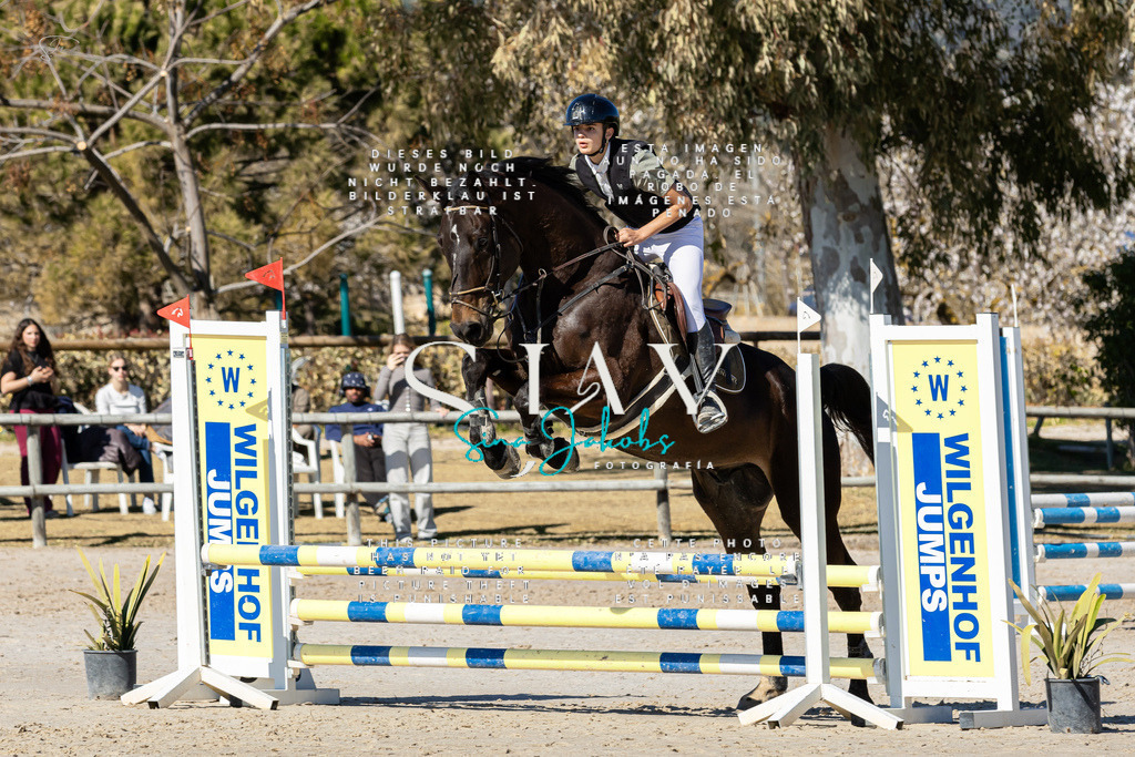 IMG_8968 | s-jay-photography - Realisiert mit Pictrs.com