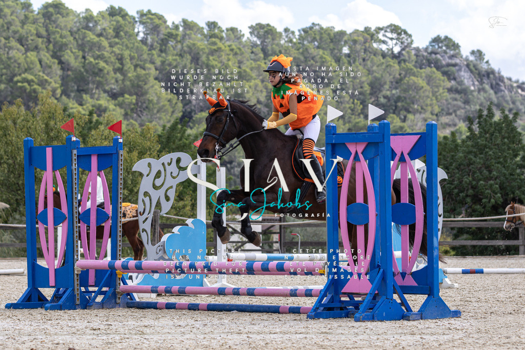 IMG_2230 | s-jay-photography - Realisiert mit Pictrs.com