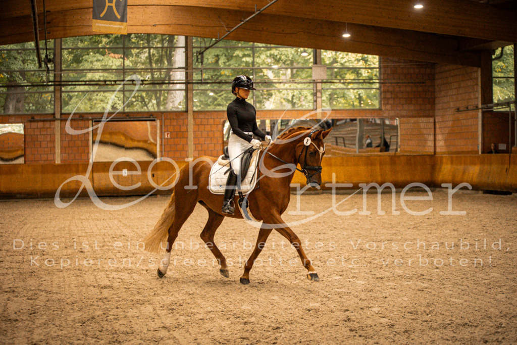 1Reiten00127 | Leoni Ertmer Photography - Realisiert mit Pictrs.com