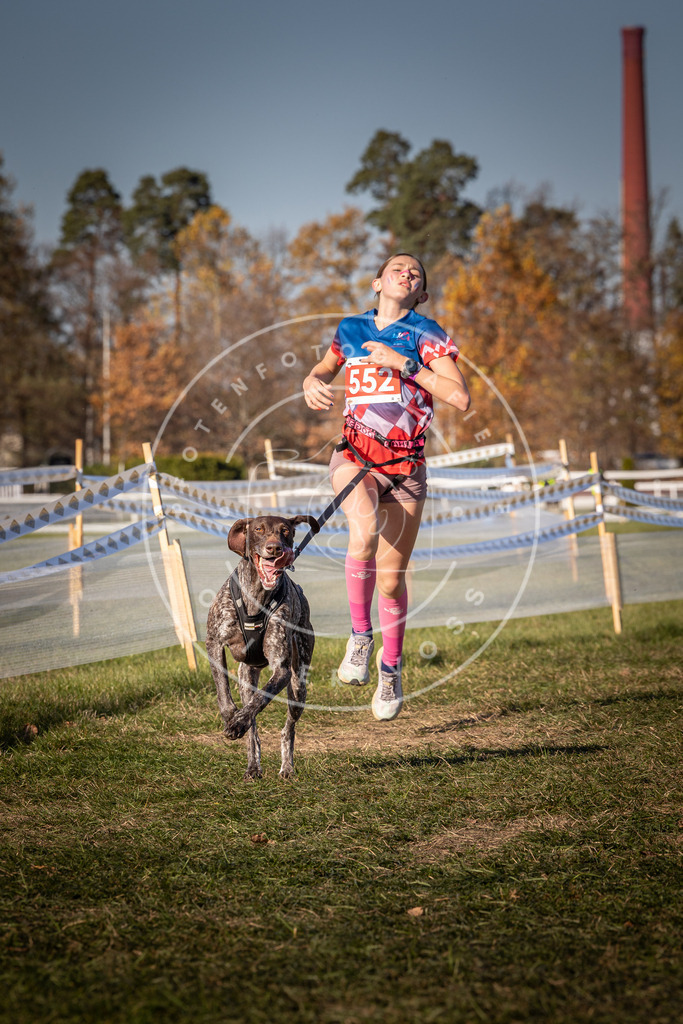 CaniXpix_0L8A7720 | Hundefotografie, Tierfotograf, Pfotenfotografie, Fotoshooting Hund, Hunde Portrait, Hundesport, Hundeportraits, Heideshooting, Hunde, Sportfotograf, Hundefotograf, Turnierhundsport, THS,  - Realisiert mit Pictrs.com