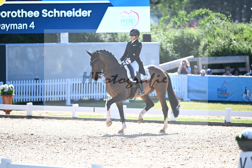 Schneider_Dayman_11253889 | hf-fotografie - Realisiert mit Pictrs.com