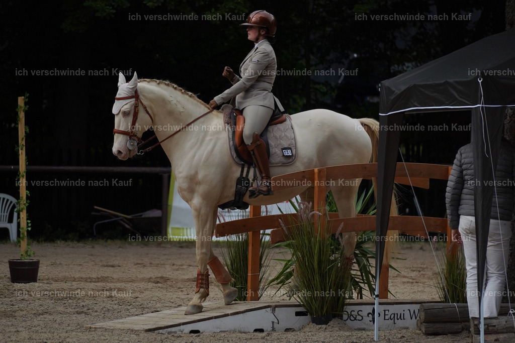 KlasseS_Lucie (54) | working equitationturnier fotograf videograf stoibphotography marixx film working equitation deutschland reitsport turnierfotografie eventfotografie equestrian events