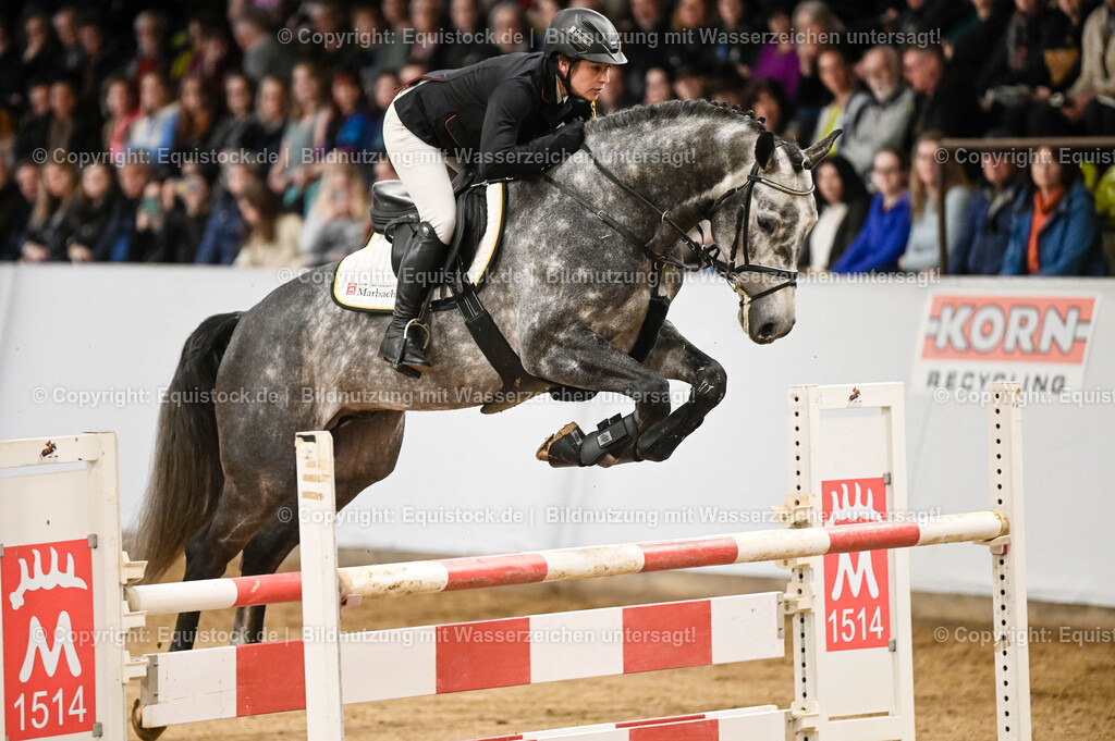 20260307_Hengstvorstellung-Marbach_0110 | equistock