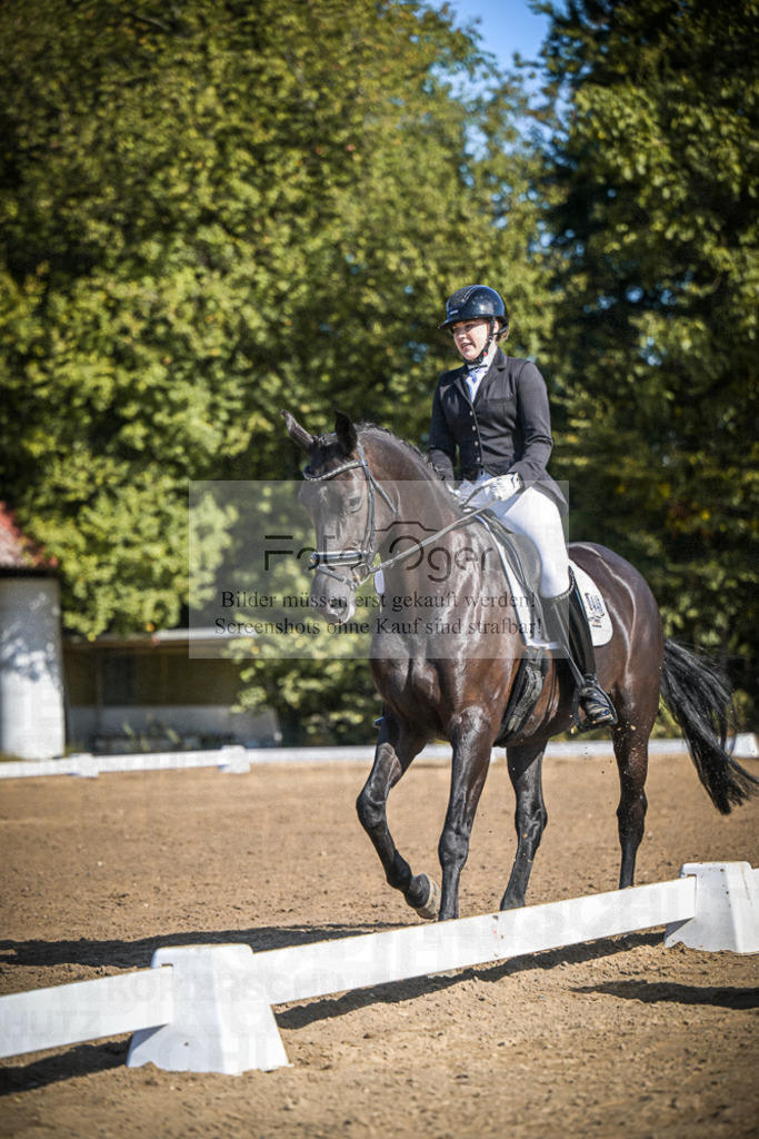 DOS_2733 | Entdecke hochwertige Reitturnierfotos von Foto Oger. Professionell, emotional und authentisch – jetzt Lieblingsmomente im Shop bestellen.Deutschlandweite Turnierfotografie. - Realisiert mit Pictrs.com