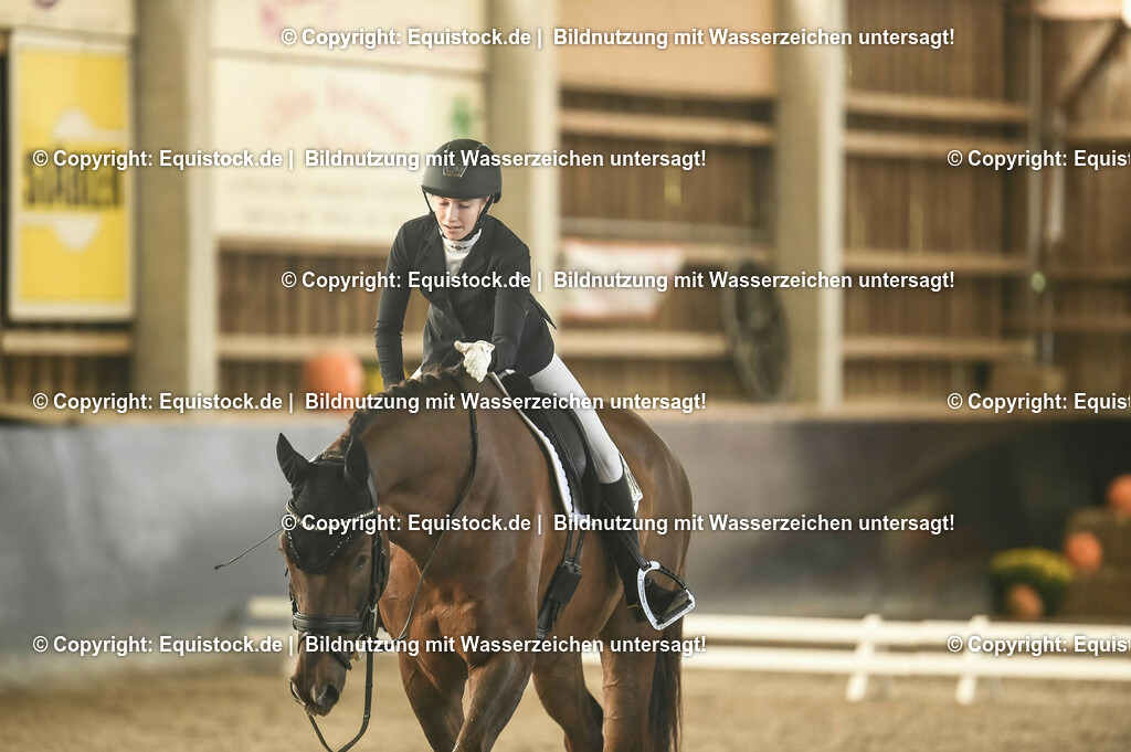 01_Dressur_A_Finale-Volksbank-Championat_0070 | Foto: Thomas Hartig