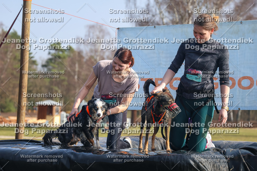 Dog Paparazzi - Strongdog North Mrz26-1903 | Dog Paparazzi Jeanette Grottendiek Fotografie & Videografie - Realisiert mit Pictrs.com