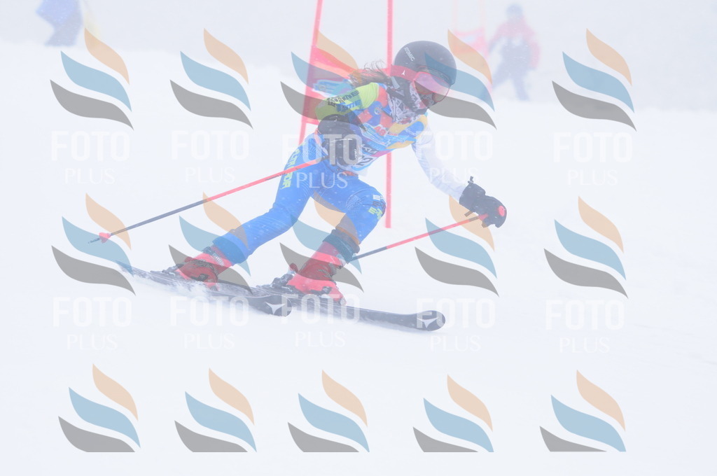 C2056 | holidayphoto