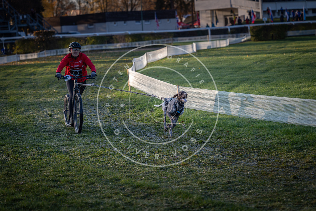 CaniXpix_0L8A2161 | Hundefotografie, Tierfotograf, Pfotenfotografie, Fotoshooting Hund, Hunde Portrait, Hundesport, Hundeportraits, Heideshooting, Hunde, Sportfotograf, Hundefotograf, Turnierhundsport, THS,  - Realisiert mit Pictrs.com