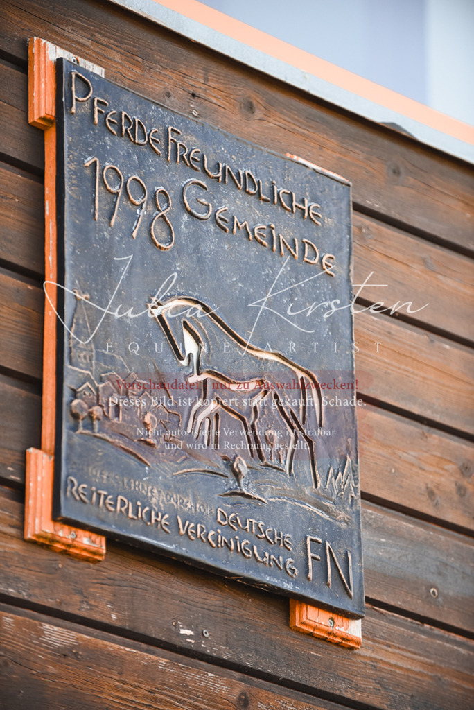 DSC_2324 | Pferde- und Turnierfotografie in Westsachsen. Pferdeportraits, Auftragszeichnungen und intuitive Kunst.