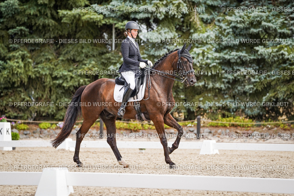 DSC03521 | Pferdegrafie