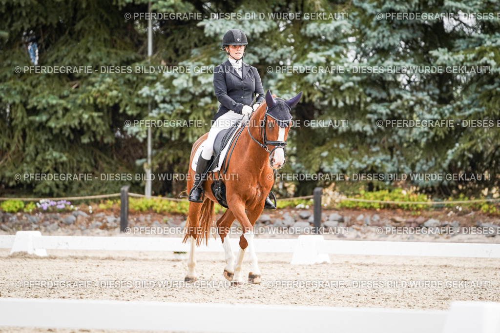 DSC01743 | Pferdegrafie