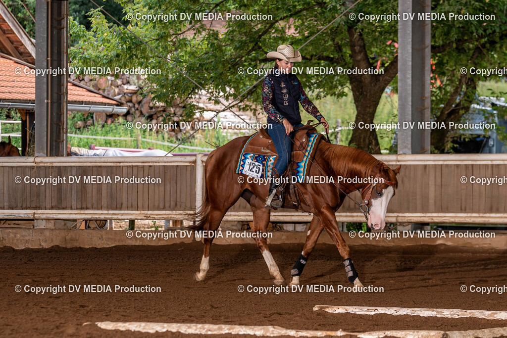 Erbach Tag 2-50 | dv-media-shop - Realisiert mit Pictrs.com