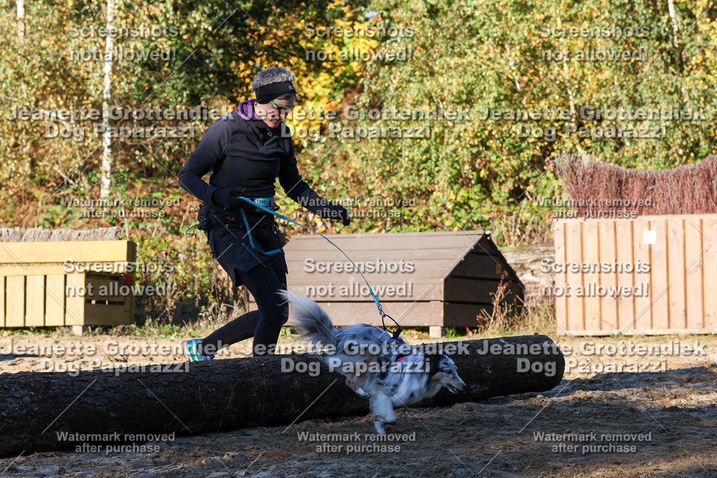 Dog Paparazzi - Strongdog 10-25-1204 | Dog Paparazzi Jeanette Grottendiek Fotografie & Videografie - Realisiert mit Pictrs.com
